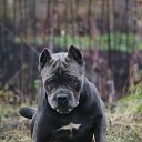 ���� ������, ������� - ��������� 2 ������ 2016 � ������ ������ � �����