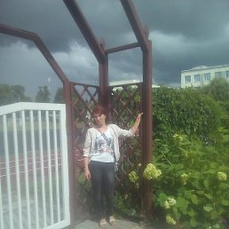 � ���� ����� ������� ��������, ������, 42 ����