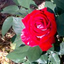 ���� ��������, ������ - ��������� 12 ������� 2016 � ������ ���� ������