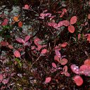 ���� �����, ����� ������� - ��������� 23 ������� 2016 � ������ ������� ����Ȼ