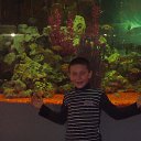 ���� Aleksandr, ��������� - ��������� 31 ������ 2017 � ������ ���������� 04.01.2017�.�