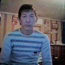 �����, 41 ���, ������