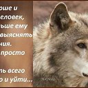 ���� �������, �������, 51 ��� - ��������� 20 ������� 2017 � ������ �������