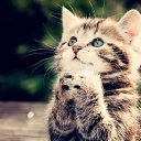 ���� Jevgenia, ������ - ��������� 13 �������� 2016 � ������ ���� ����������