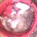 ���� ������, ����, 43 ���� - ��������� 30 ������ 2016 � ������ ���� ����������