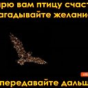 ���� �������� ������� ��������, ��������� - ��������� 19 ������� 2016 � ������ �������