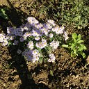  , , 73  -  25  2016     2016