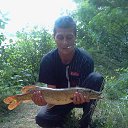 ���� ������, ������, 46 ��� - ��������� 11 ������ 2017 � ������ ���� ����������