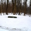 ���� ��������, ������ - ��������� 28 ������� 2017 � ������ ������ ������