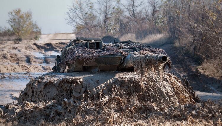 Leopard 2E    .