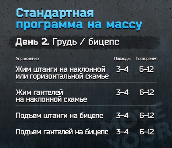 Стандартная программа для набора массы. 3 тренировки в неделю. - 2