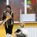 ��� ������ � ���������) BEST�, �������� ����� *����*, 13.11.2016, ������ �� ������� ���� �������