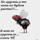 ���� ��������, ���������, 64 ���� - ��������� 8 ������� 2016 � ������ ������ ��������