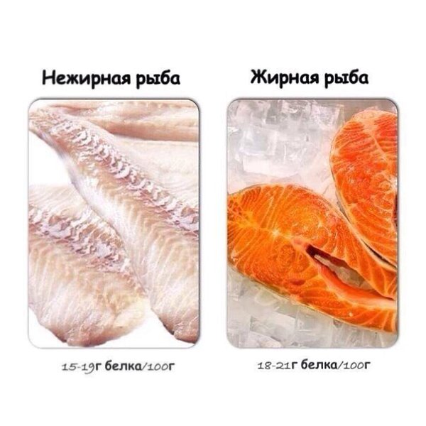 Содержание белка в распространенных продуктах. Помним, что в крупах и бобовых-растительные белки, а ... - 4
