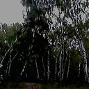 ���� ������, ����, 74 ���� - ��������� 1 ������� 2016 � ������ ������ ��������