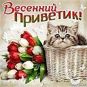  Italyanez,  -  1  2017    