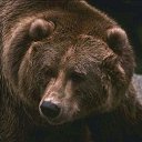 ���� ���������, ������, 72 ���� - ��������� 13 ������ 2017 � ������ ���� ����������