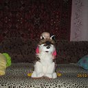 ��� ������? ��� �����, � ����? �� ������� ���� ����������