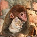 ���� Yura, ���������, 47 ��� - ��������� 29 ������� 2016 � ������ ���� ����������