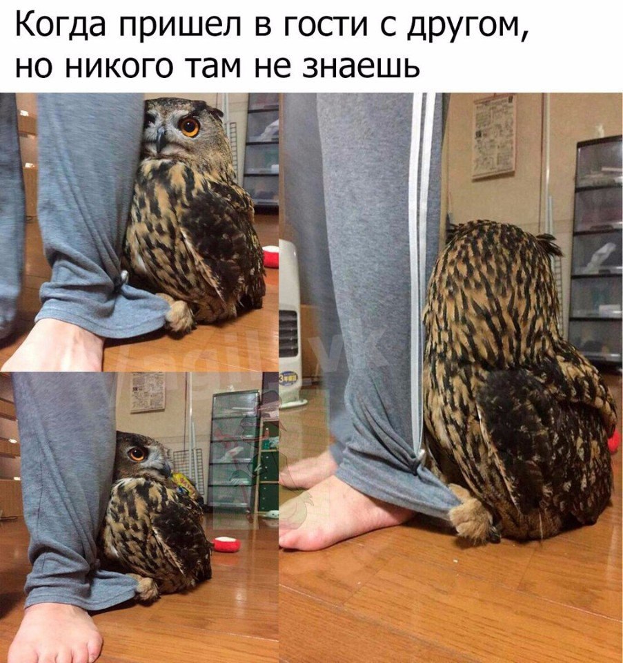   - 24  2016  11:34