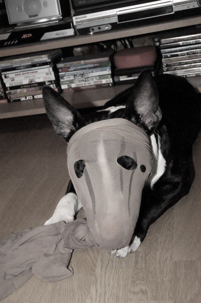 В обсуждения добавлена новая тема. Что такое немотивированная агрессия? - ...