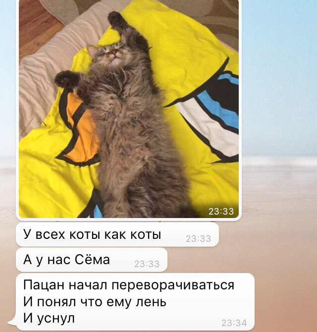   - 26  2017  20:34