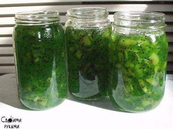 Изумрудное варенье из киви.Варенье очень вкусное и необычайно красивое!Ингредиенты:-5 киви-1 банан-1 ...