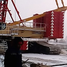 ���� ����������, �����������, 43 ���� - ��������� 7 ������� 2017