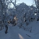    ,  -  25  2016    