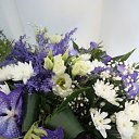 ���� ������, �������� - ��������� 15 ������� 2016