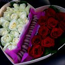 ���� ��������������������, ������ - ��������� 29 �������� 2016