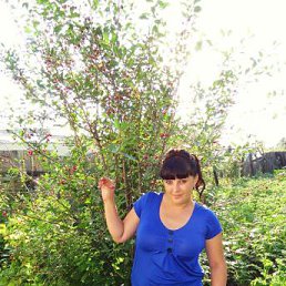 �����, �����������, 38 ���