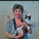 ���� �����, ��������, 63 ���� - ��������� 14 ������� 2017