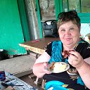 ���� ���, �����������, 69 ��� - ��������� 11 ����� 2017