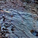  ,  -  9  2017        ̻