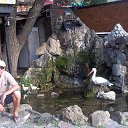 ���� �����, ���������, 55 ��� - ��������� 2 ������ 2016 � ������ ���� ����������