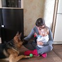  ,  , 33  -  26  2016     