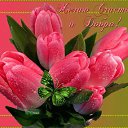 ���� Anina, ���� - ��������� 25 ������� 2016 � ������ ���� ����������