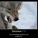 ���� ��������, �����������, 52 ���� - ��������� 4 ����� 2017 � ������ ���� ����������
