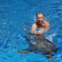 ���� �������, ���������, 65 ��� - ��������� 17 �������� 2016 � ������ ���� ����������