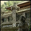 ���� ������, �������� - ��������� 8 ������� 2017 � ������ �������