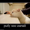 ���� ��������, ����������, 58 ��� - ��������� 9 ������� 2016 � ������ ������ ��������