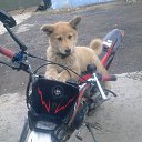 ���� ����, �����-���������, 58 ��� - ��������� 10 ������� 2016