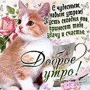 ���� ���������, �����, 63 ���� - ��������� 11 ������ 2016 � ������ ������ ��������