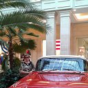 ���� ������, �������, 66 ��� - ��������� 2 ������� 2016 � ������ ���� ����������