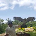 ���� ����, ����-������, 42 ���� - ��������� 6 ����� 2017 � ������ ���� ����������