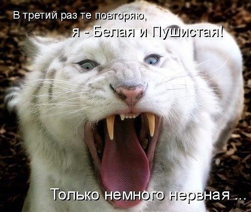 ,  ...