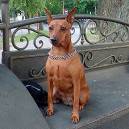 ���� Kyarro, �����, 59 ��� - ��������� 3 ����� 2017