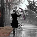 ���� �����, ��������� - ��������� 8 ������� 2017 � ������ ������ ��������