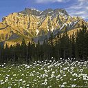 ���� �������, ���������� - ��������� 25 ������� 2016 � ������ ���� ����������